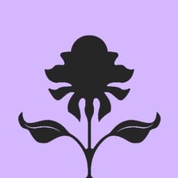 Calyx - a NEAR-Intents Launchpad